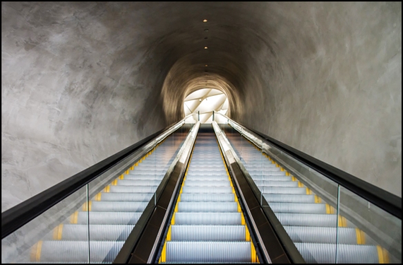 escalatorweb-dsc_7386
